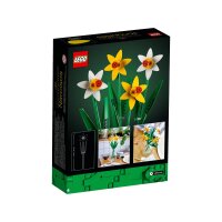 LEGO Advanced Models 40646
