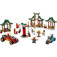 LEGO® Ninjago 71787 Kreative Ninja Steinebox