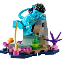 LEGO Avatar 75579