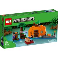 LEGO Minecraft 21248