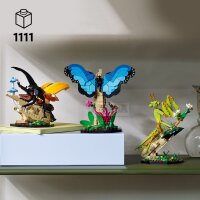 LEGO Ideas 21342 Die Insektensammlung
