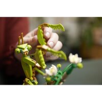 LEGO Ideas 21342 The Insect Collection
