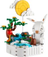 LEGO Miscellaneous 40643