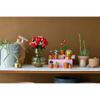 LEGO Botanicals 10329 Mini Pflanzen