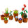 LEGO Botanicals 10329 Mini Pflanzen