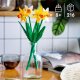 LEGO Botanicals 40747 Daffodils