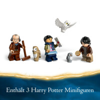 LEGO Harry Potter 76430