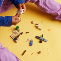 LEGO Minecraft 21251