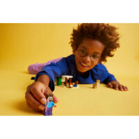 LEGO Minecraft 21251