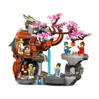 LEGO® Ninjago 71819 Drachenstein-Tempel