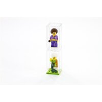 Display Vitrine 4x4 für Deine Minifiguren - 8er Pack