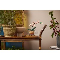 LEGO Botanicals 10343 Mini-Orchidee