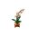 LEGO 10343 Mini-Orchidee Botanicals